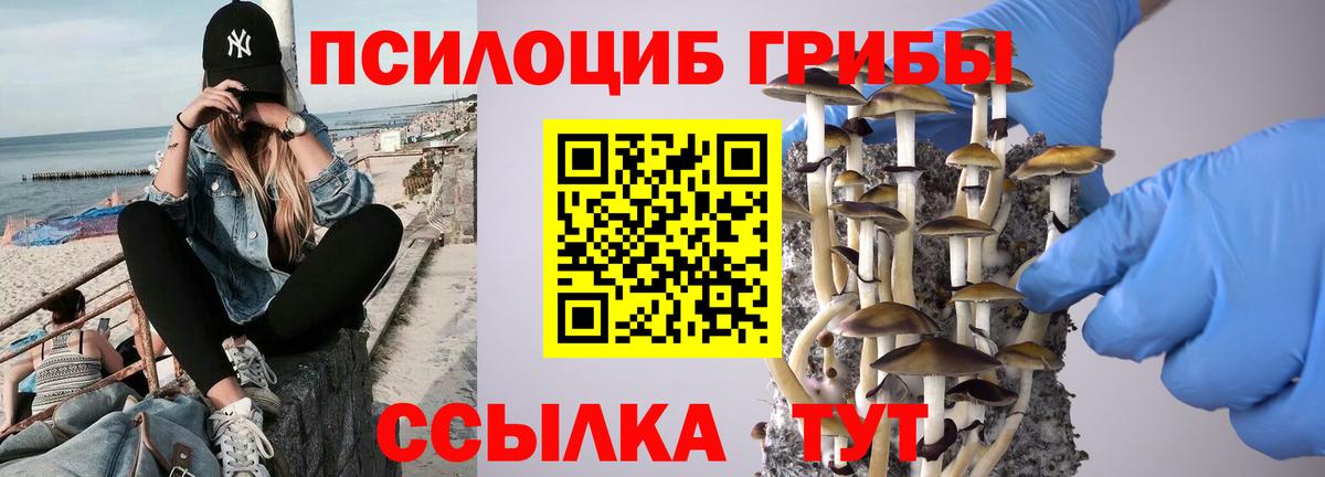 Псилоцибиновые грибы мухоморы Котовск